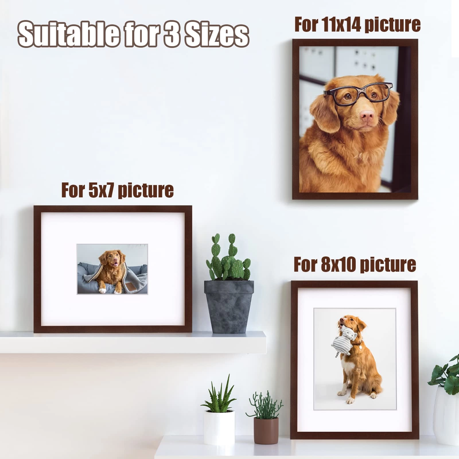 Picture Frame - 11x14