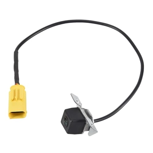 Backup Camera - Night Vision