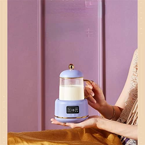 Temperature Control Smart Kettle