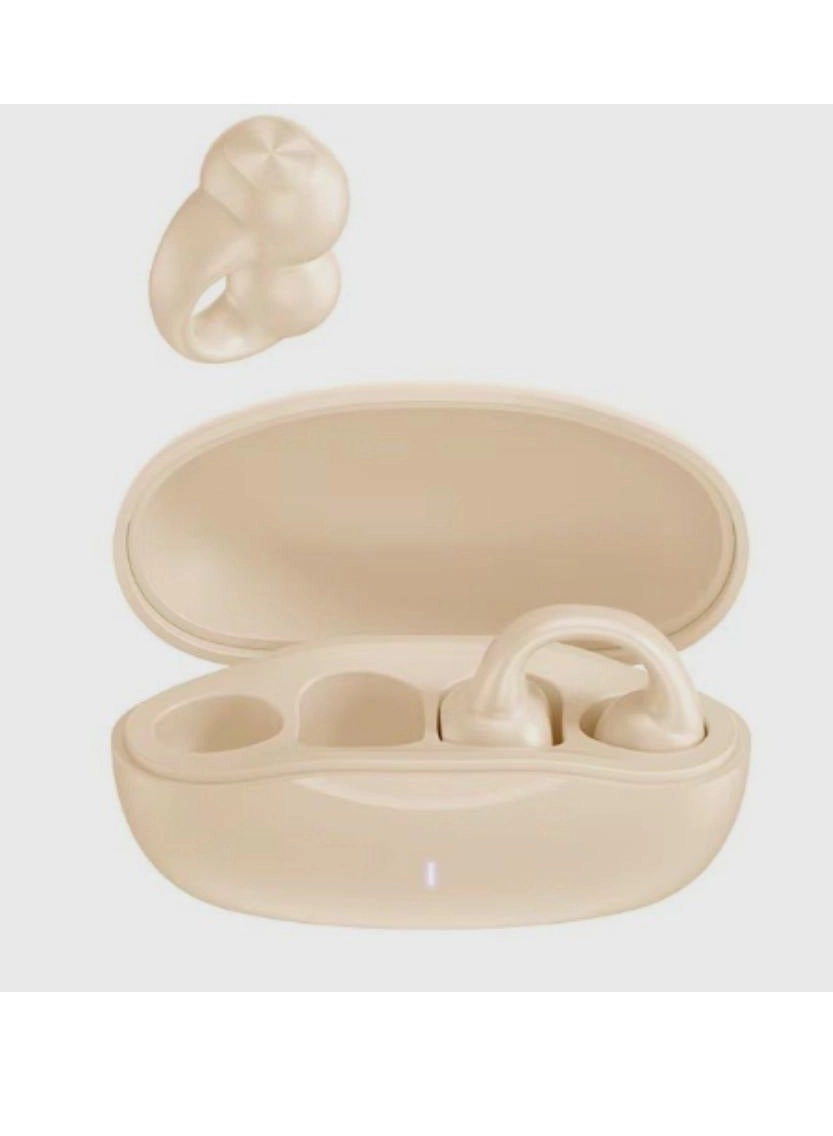 Wireless Bluetooth Earphones