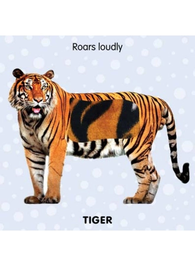 Touch and Feel - Jungle Animals (Book 2)