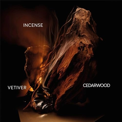 Bottled Elixir Parfum Intense Eau de Parfum 100ml