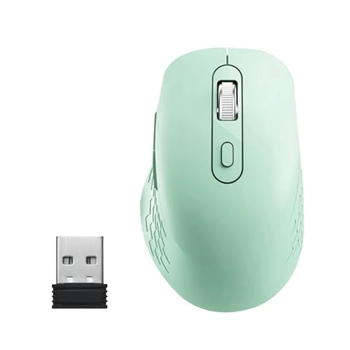 Wireless Mouse - Radio Frequency