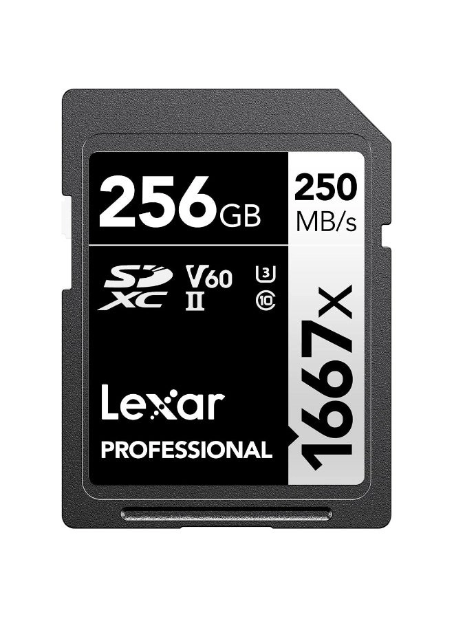 Lexar Professional SDHC/SDXC U3 256GB