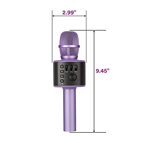 Karaoke Microphone