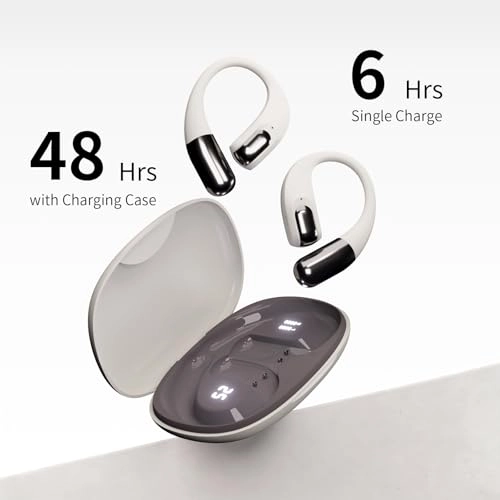 Buds Pro 2 Wireless Earbud