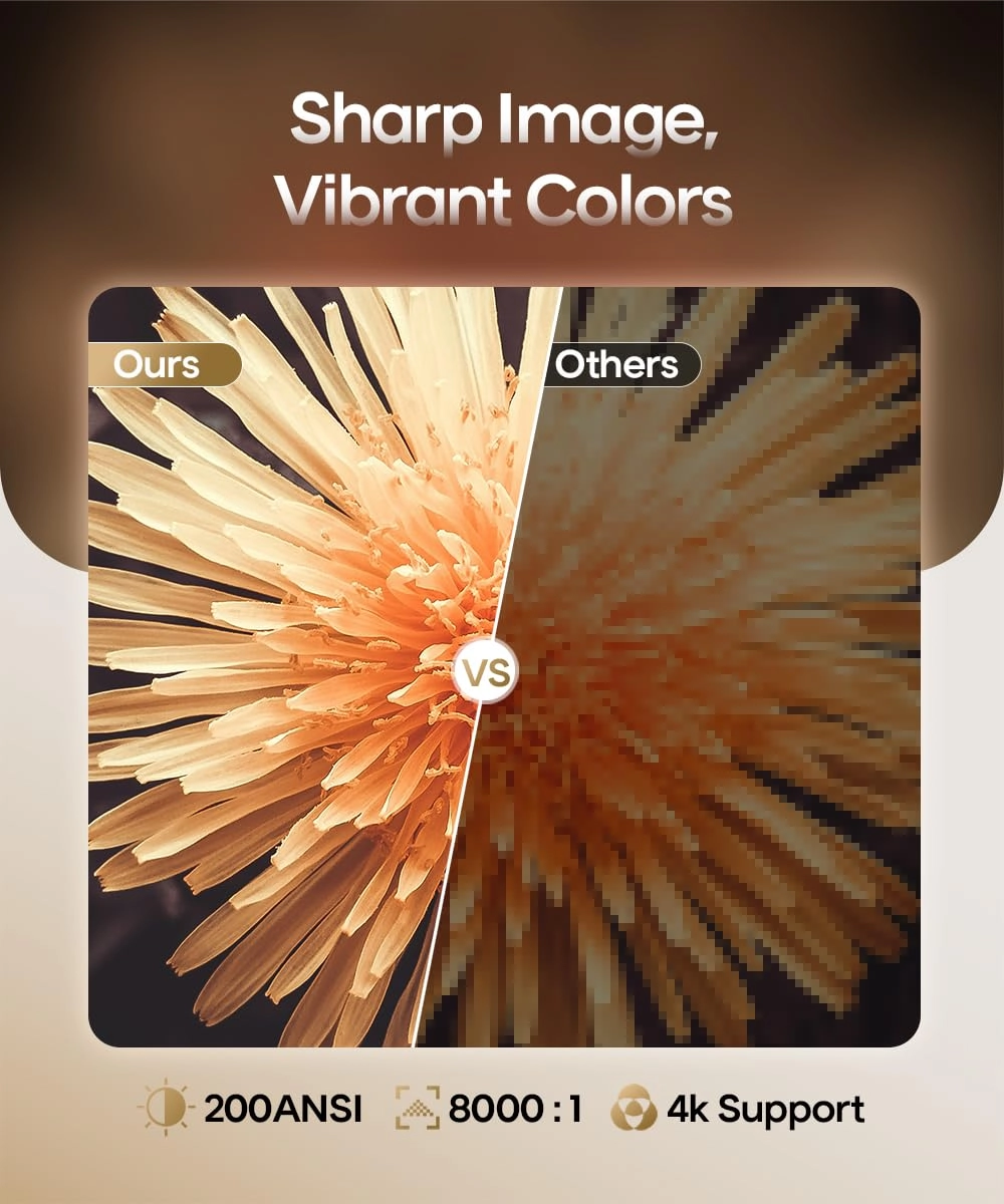 Freestyle HY300 200 ANSI