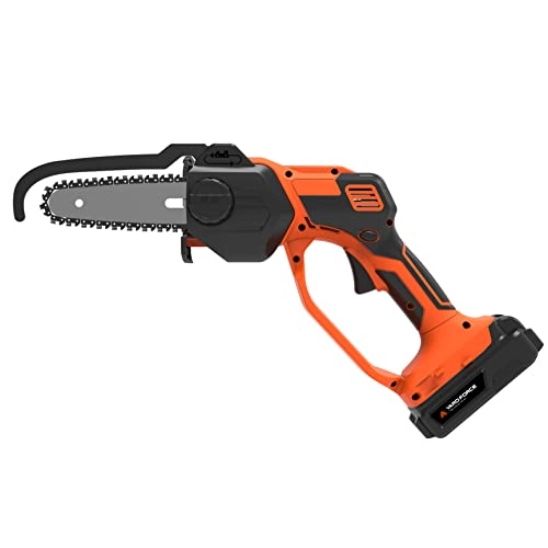 LS C13 - 40 Watt-hours