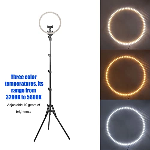 LED Ringlight - 29cm