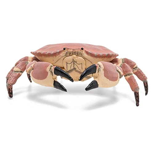 Marine Life - Crab (56047)