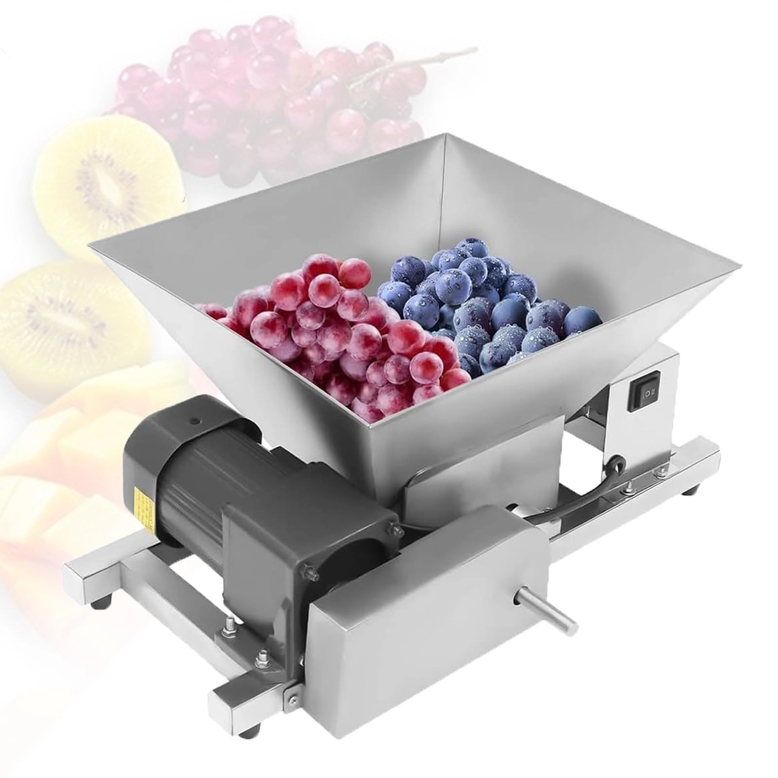 LwiftGal Electric Fruit Crusher - 4L 60W