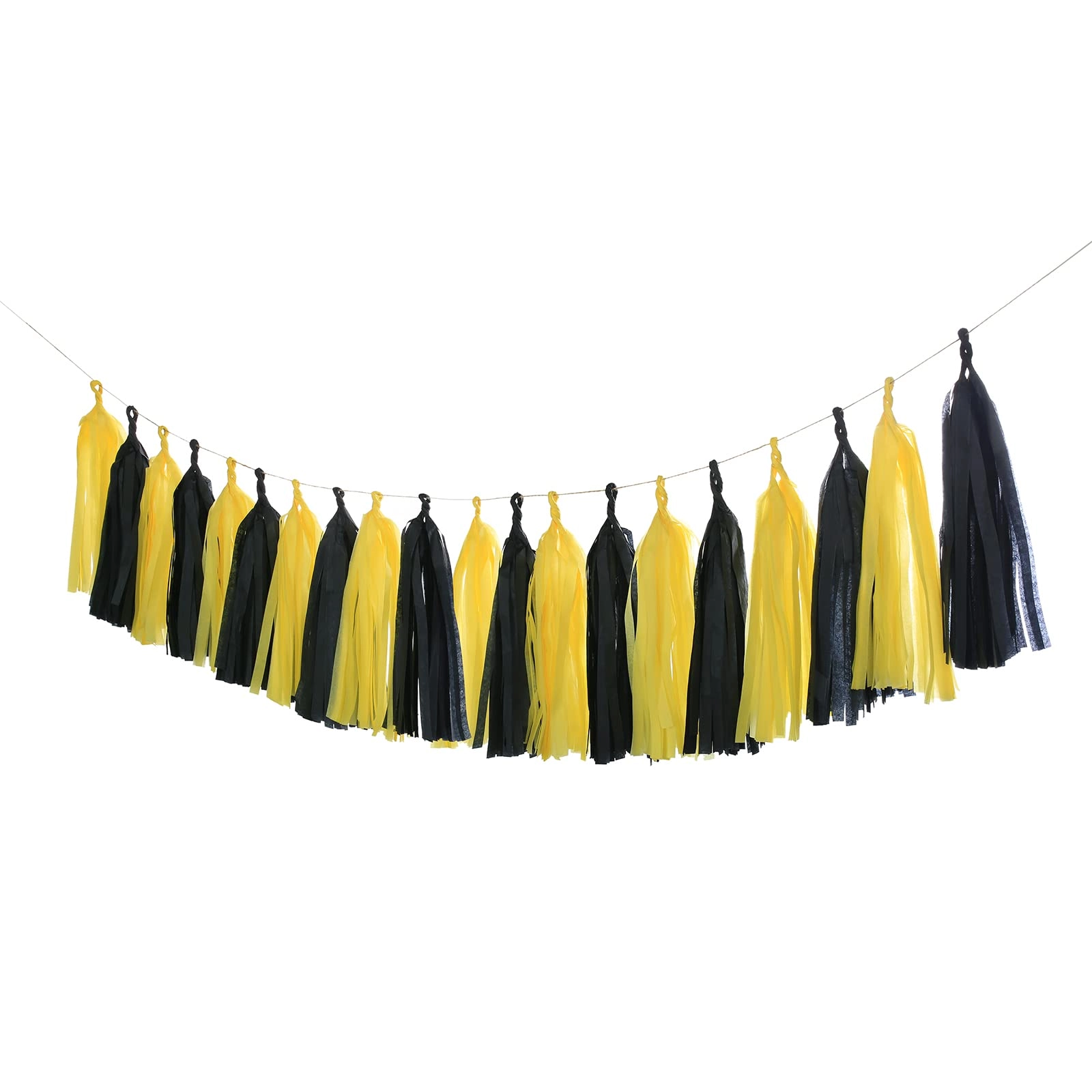 Tissue Paper Tassel Garland - 20pcs Party