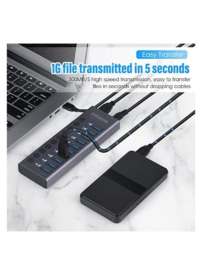 USB 3.0 Hub - 10 Port 60W