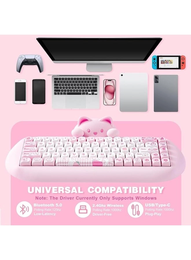 C68 - 65% Wired/Wireless