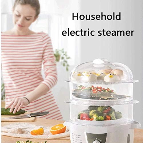 Electric Steamer - 6L