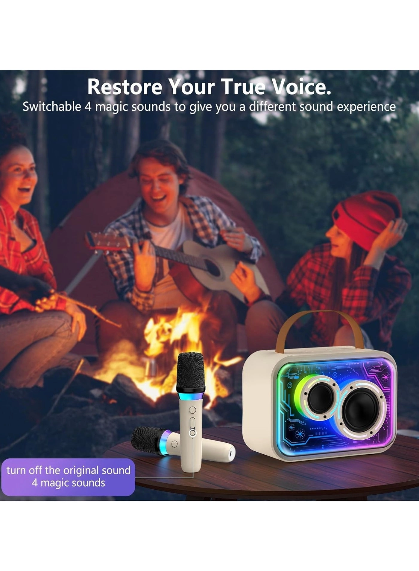 D30T - 2 Wireless Microphones