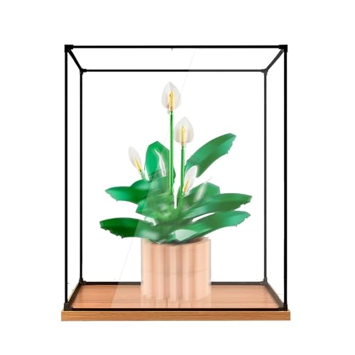 Display Case (11504) - 3mm acrylic transparent UV protection dustproof