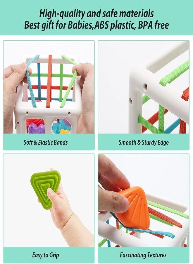 Montessori Sensory Shape Sorter - 1+