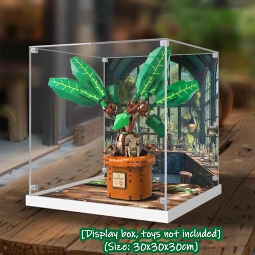 LE-GO Acrylic Display Case