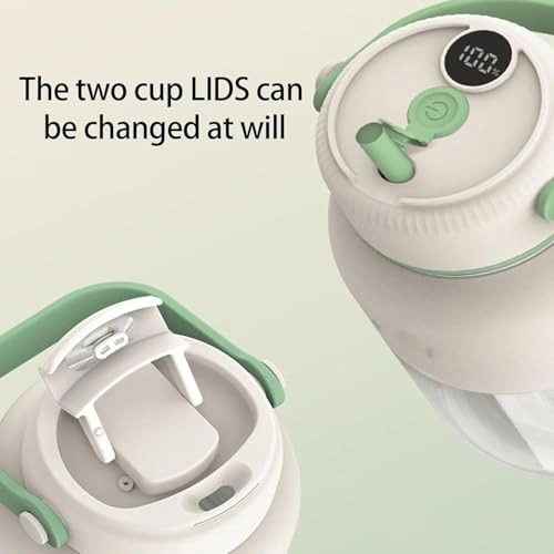 Portable Fruit Juicer - 150W 380ml