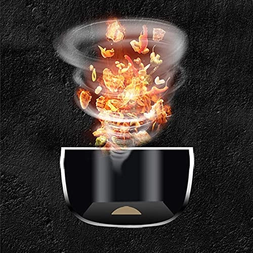 Electric Fryer TINZA21740