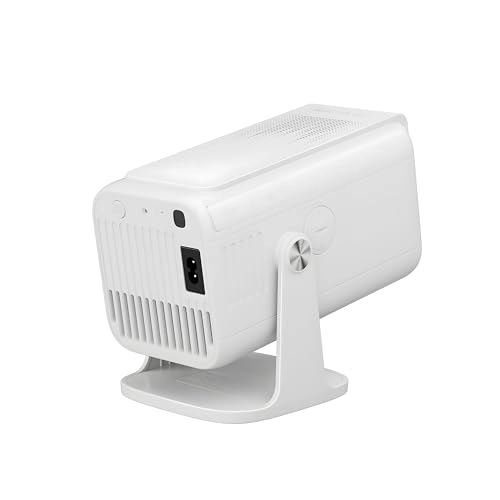 Victory AVI PLAY 300 ANSI Lumens