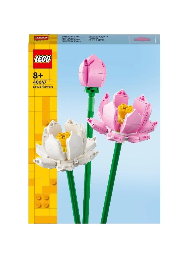 Lotus Flowers (40647) - Iconic