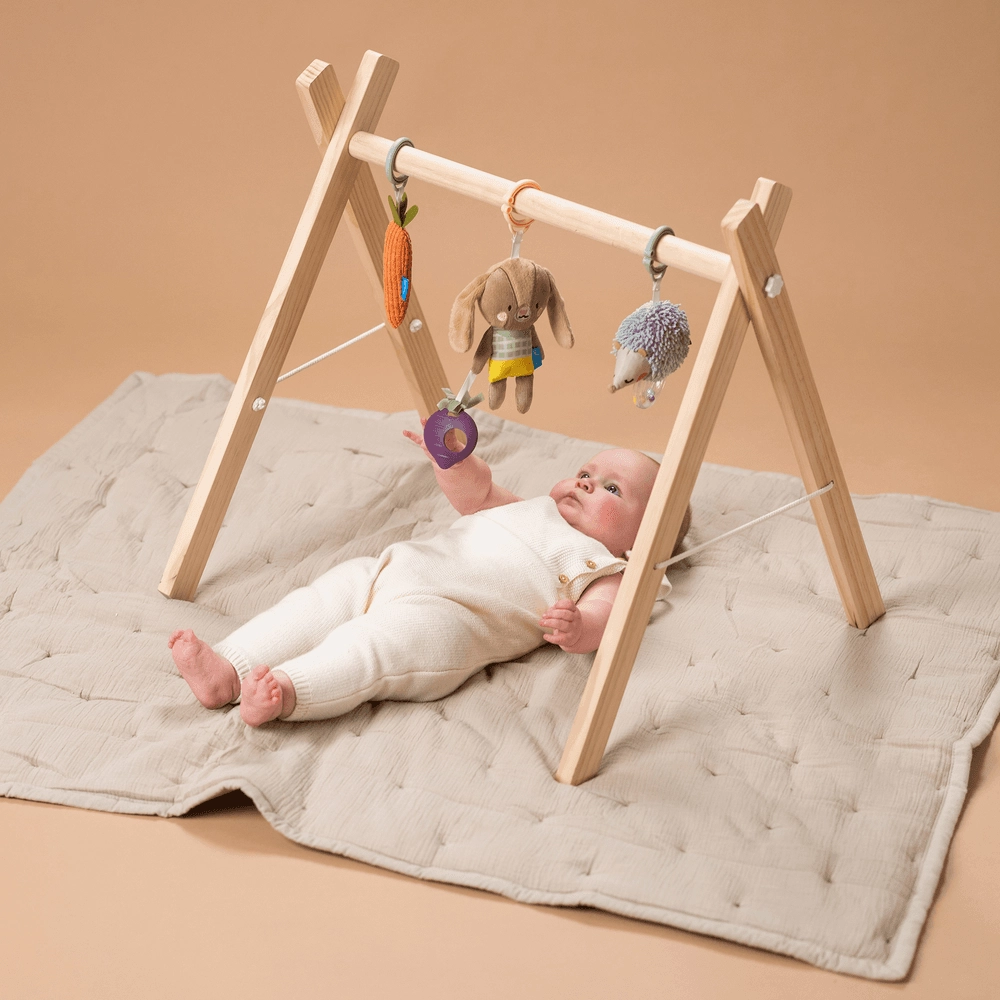 Jenny The Bunny + Spike The Rattle Hedgehog + Crinkle Carrot - 0 month