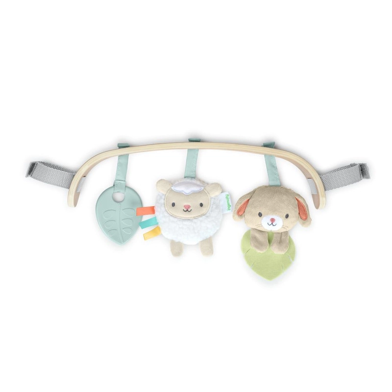 Ingenuity Soothing Essentials Carrier Toy Bar - 0 month & above