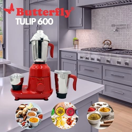 Cyclone Mixer Grinder - 600 Watt