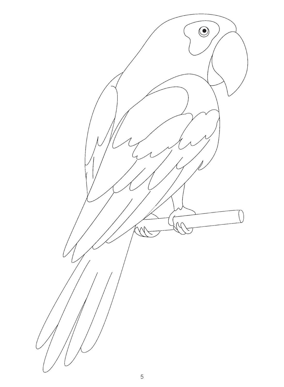 Jumbo Cartoon Colouring Book (Book 2)