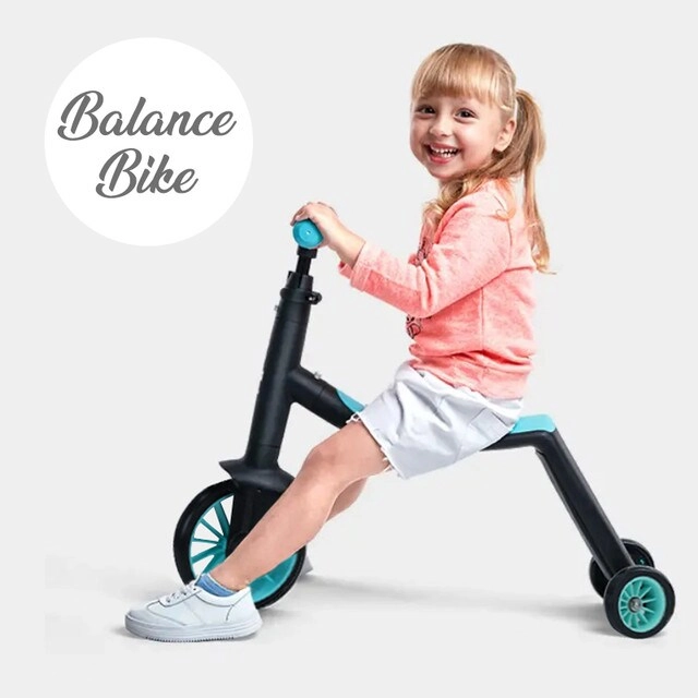 Multifunctional Kick Scooter