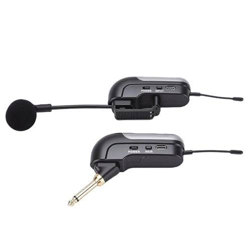 Accordion Microphone - 1