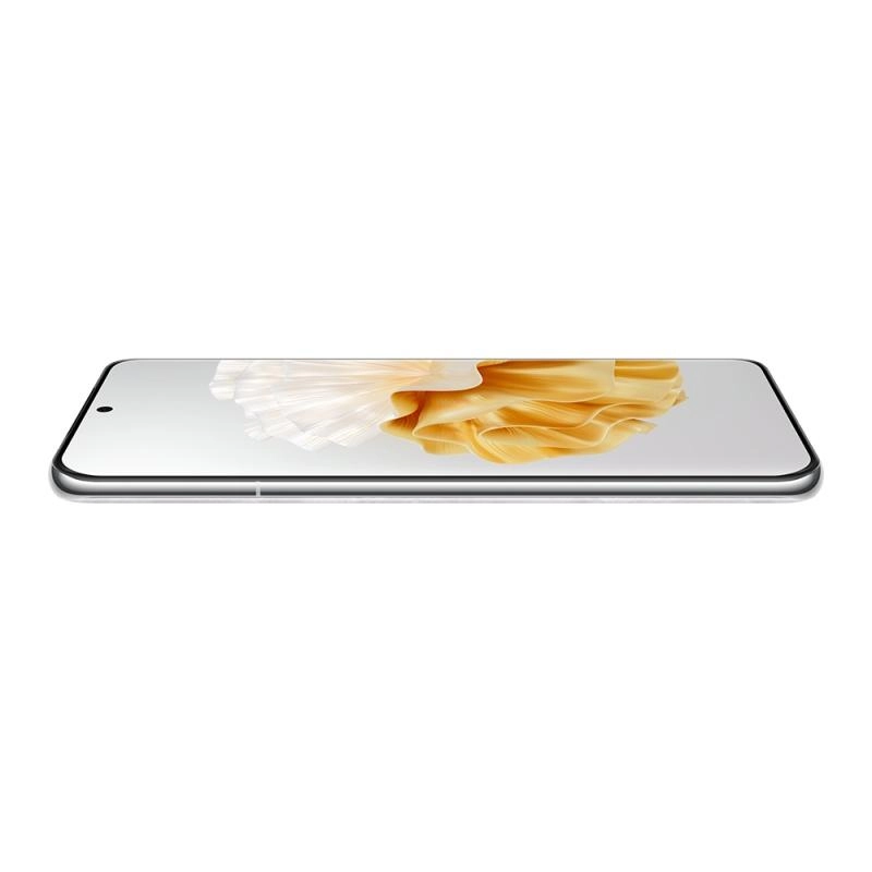 P60 Pro - 12GB 512GB