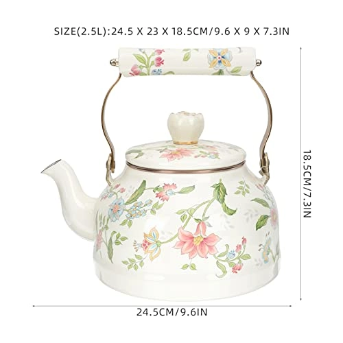 Glass Teapot - Enamel 2.5 Liters