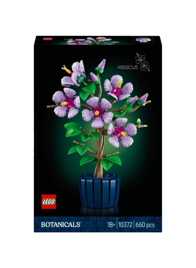 Botanical Hibiscus (10372)