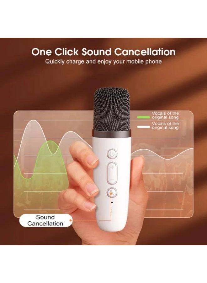 G23 - 2 Wireless Mic