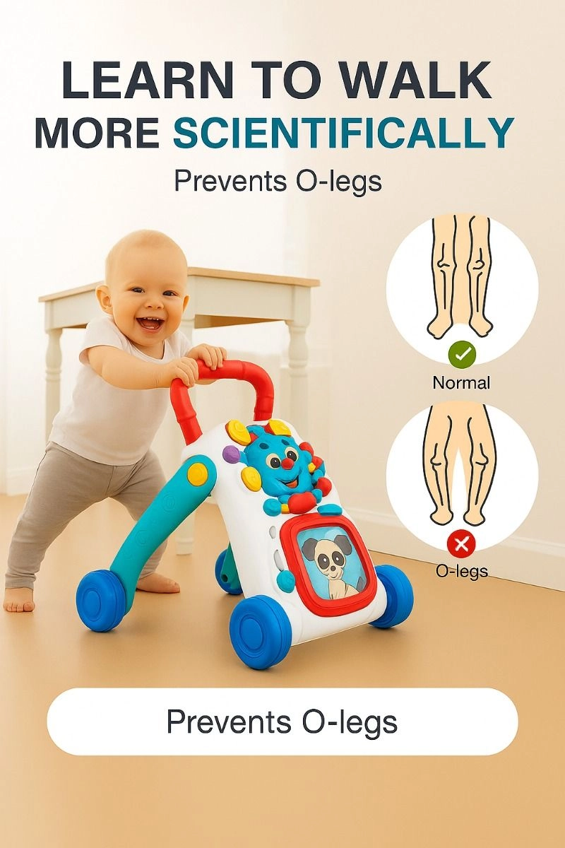Daisy - 3-In-1 Baby Walker