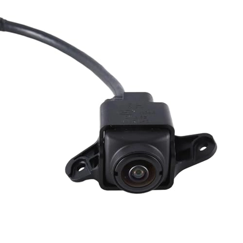 Reversing Camera - video cable