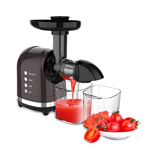 Slow Speed Juicer - 250W