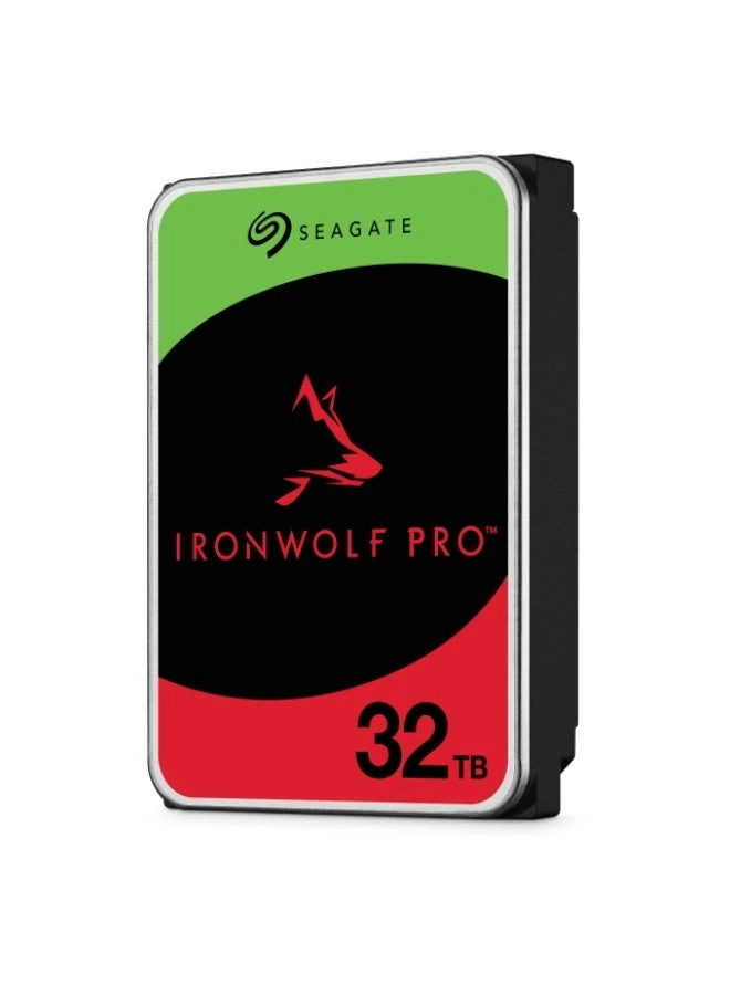 IronWolf Pro 1-Bay 32TB
