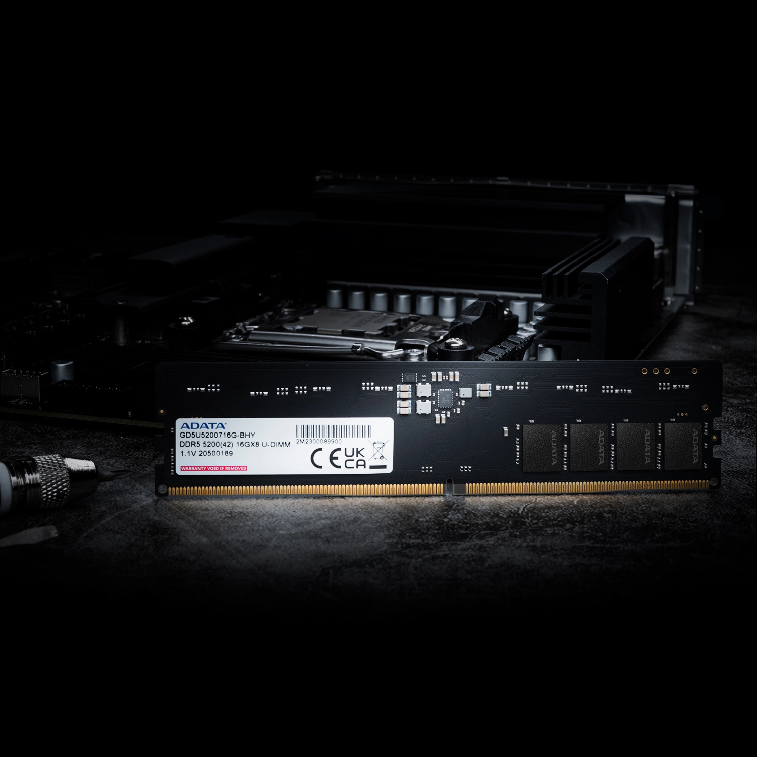 Memory Module - 32GB 5600MHz U-DIMM DDR5