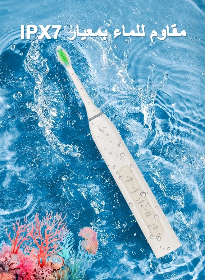 YWD-TB36-WH - 40000 VPM 4 Brush Heads USB Wireless Charging