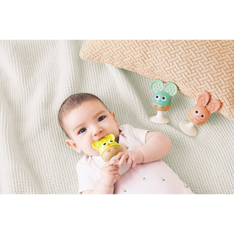 Cheery Critter - Teether Rattle Suction Cup 3 Pcs