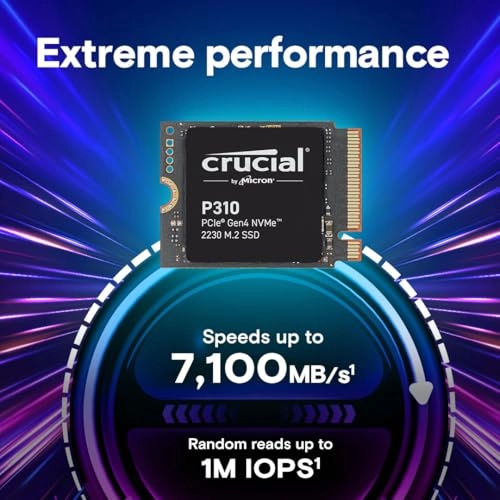 P310 - 1 TB 2230