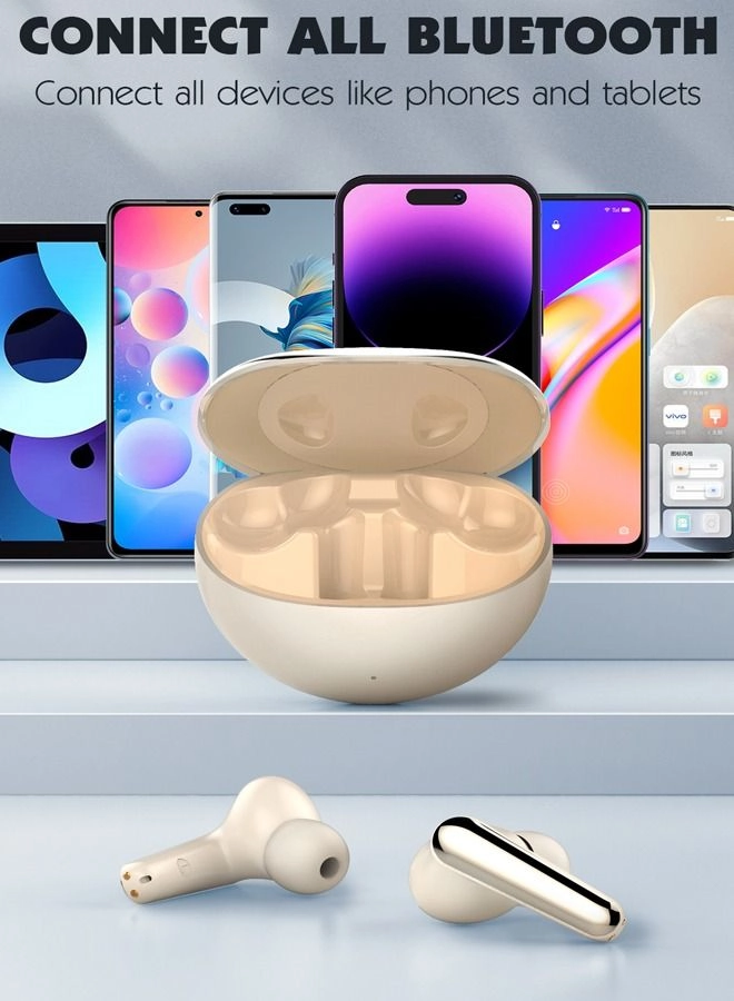 T01 Pro Wireless Earbud