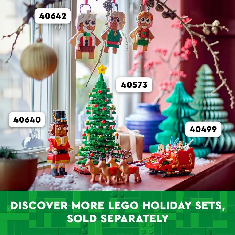 Santa's Sleigh (40499)