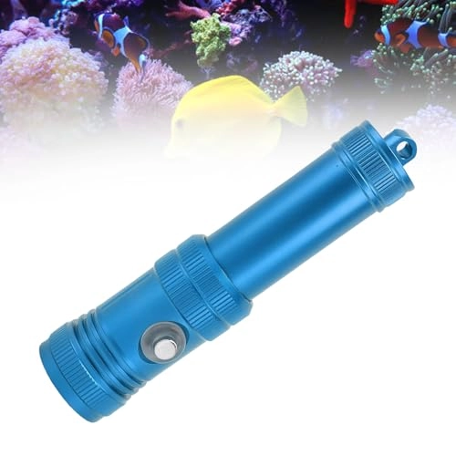 1200 Luminous Flux Dive Light - 50 m Black