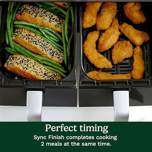 Dual Basket Air Fryer ADZ-110