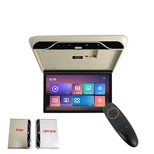 Car Ceiling Display - 19 Inch